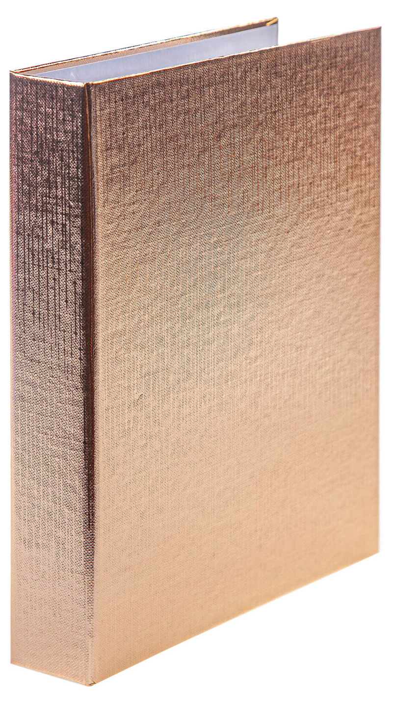 Тетрадь Hatber Metallic на кольцах в клетку А5, 120 л