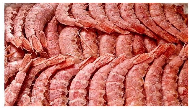 Креветки Аргентинские красные замороженные в панцире без головы 30/55, вес