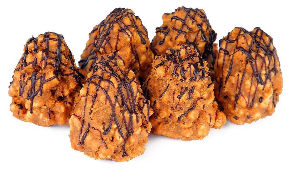 Пирожное песочное «Фили-Бейкер» Муравьиный домик с вареной сгущенкой, 400 г