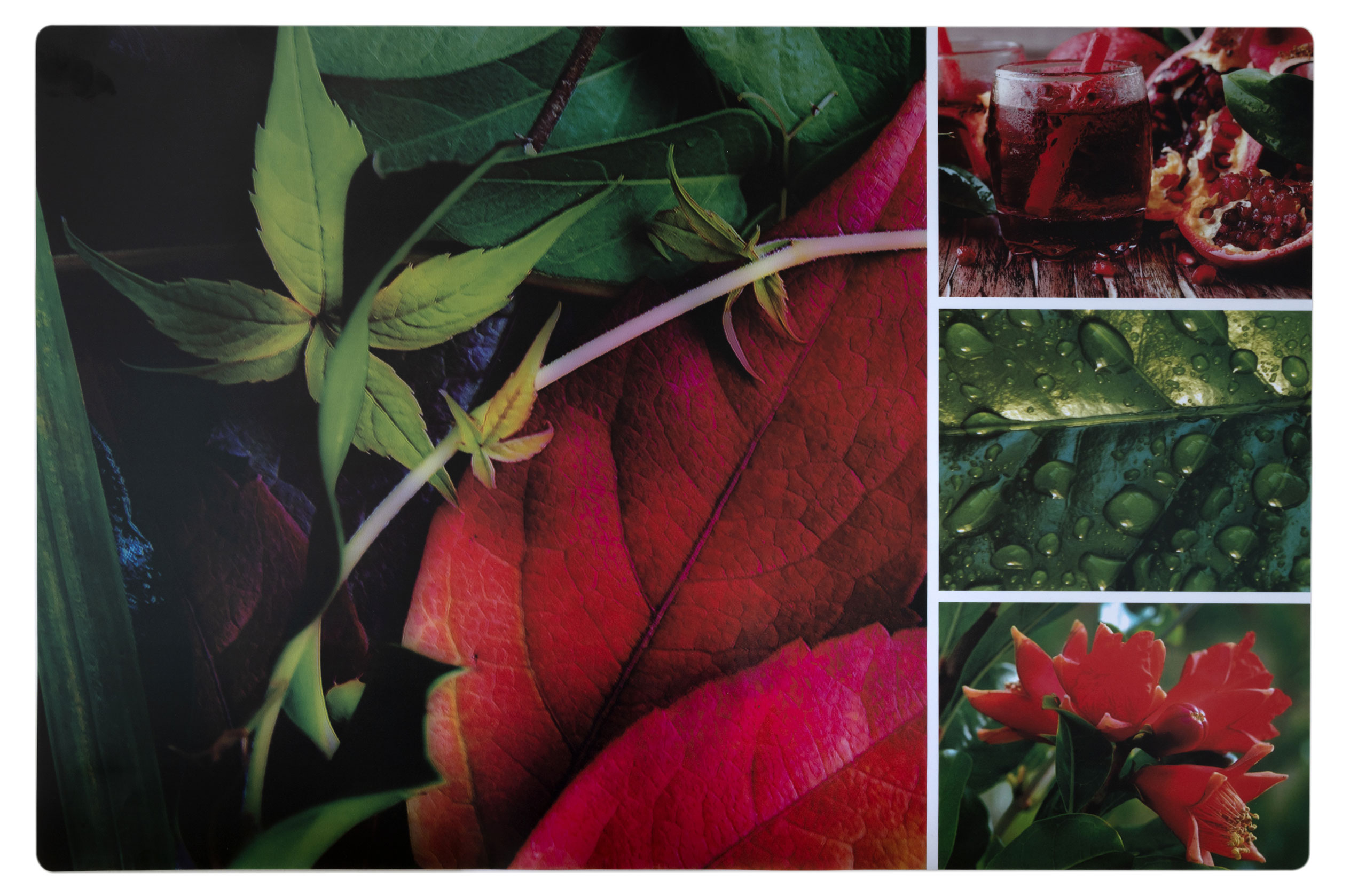 Салфетка-скатертьсервировочная Remiling Household ПВХ, 60х90 см