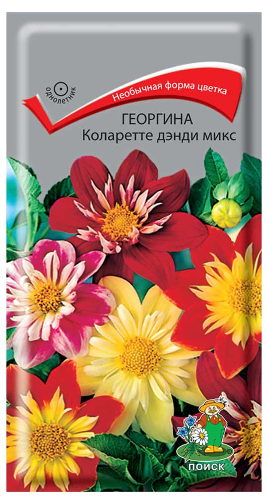 Семена Георгина «Поиск» Коларетте дэнди микс, 0,2 г