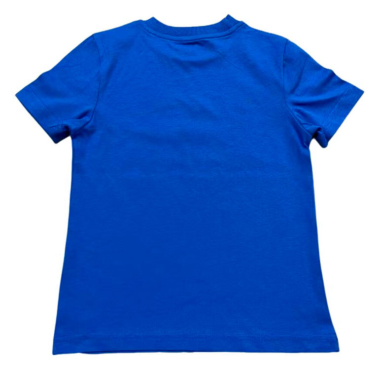 Футболка для мальчика Sabedoria синяя