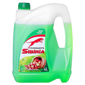 Стеклоомыватель зимний SIBIRIA до -20°C Яблоко, 4л