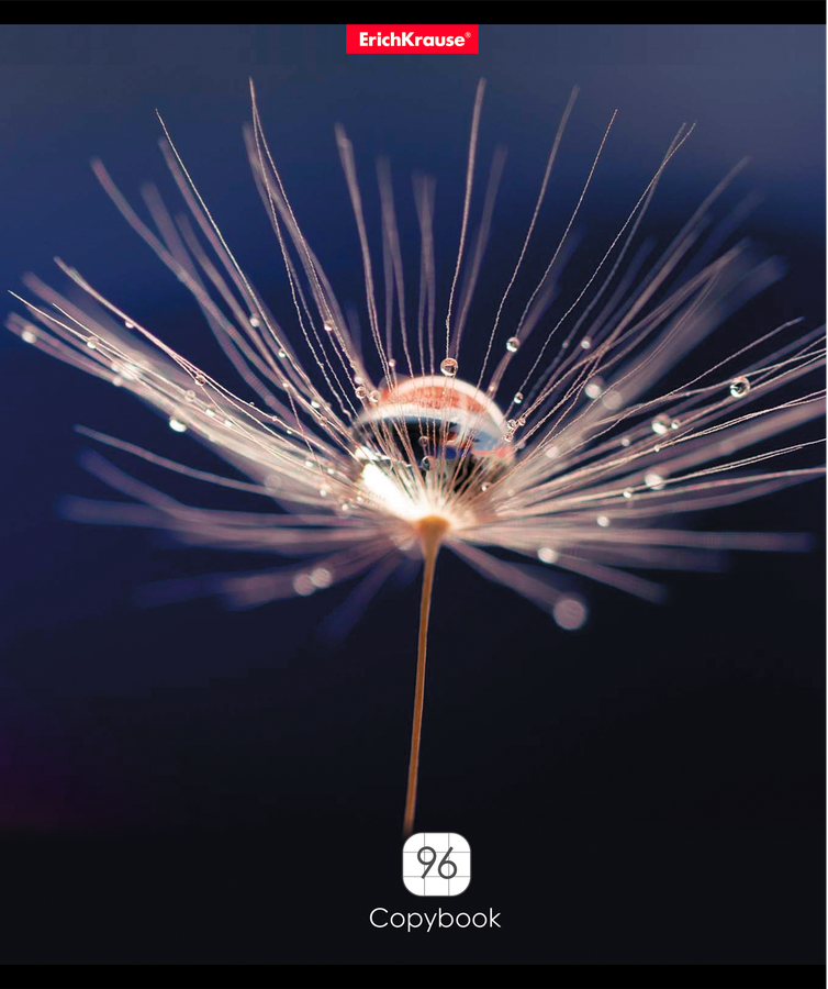 Тетрадь общая ERICHKRAUSE Макромир, 96 листов, в клетку, Арт. 58291