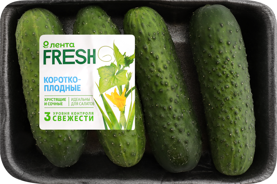 Огурцы короткоплодные ЛЕНТА FRESH колючие, 450г