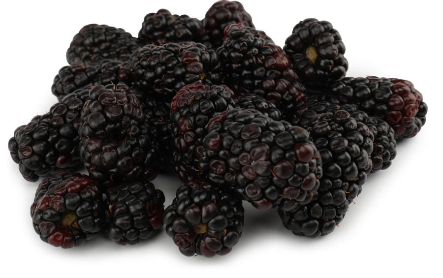 Ежевика свежая, 125г