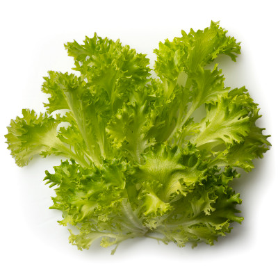 Салат Фриллис листовой хрустящий, 100г