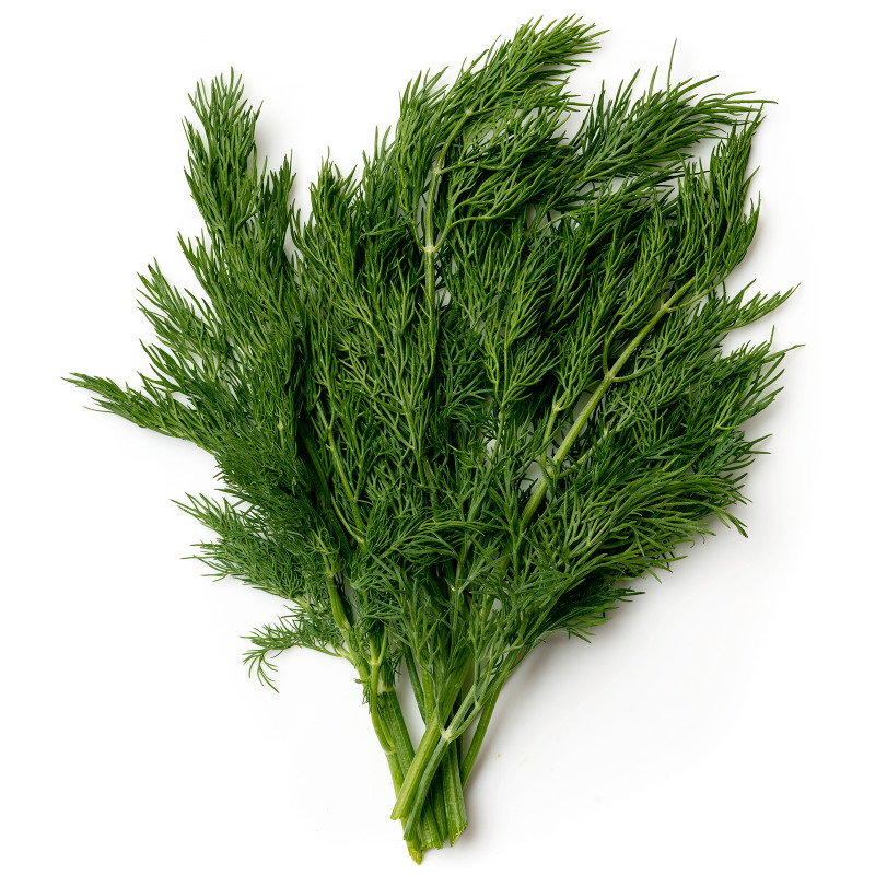 Укроп Маркет Fresh