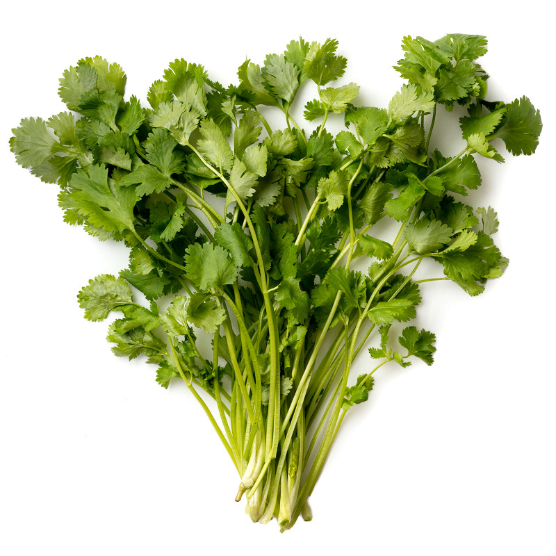 Кинза Маркет Fresh